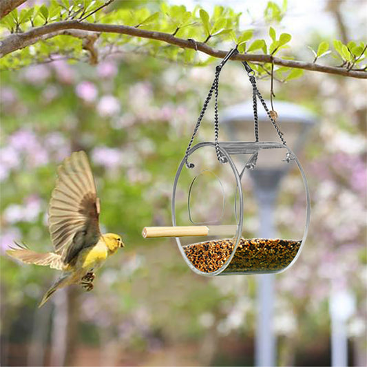 Belinana hanging bird feeder with birdseed attracting a flying bird outdoors drinking feeding