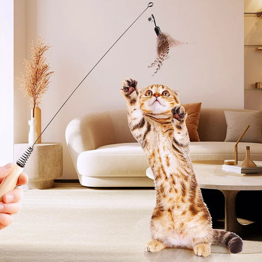 Belinana cat wand with bell and wooden handle being used to play with a brown tabby cat indoors