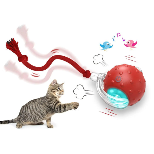 Belinana self-rolling cat ball for indoor cats with red textured surface and attached rope toy